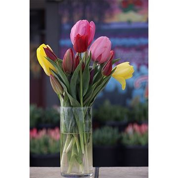 Tulips - 10 Stem Mixed 