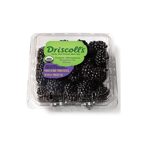 organic-blackberries