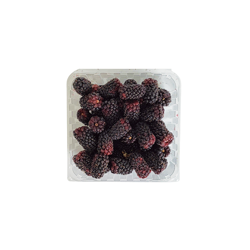hurst-berry-farm-blackberries