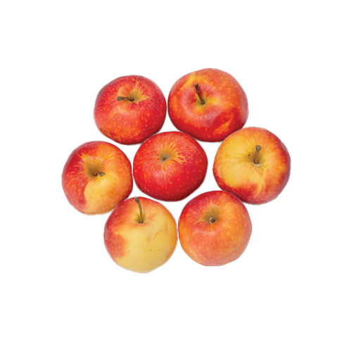 organic-gala-apples