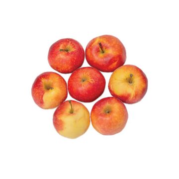 Organic Gala Apples - 2 lbs.