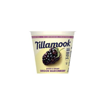 Tillamook Oregon Marionberry Low Fat Yogurt - 6 oz.