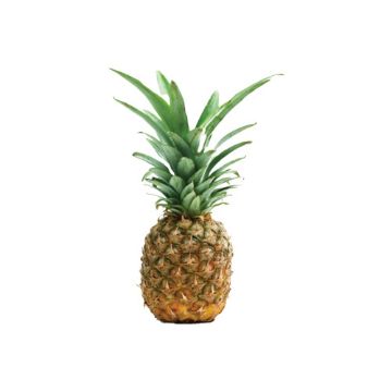 Pineapple - 1 count