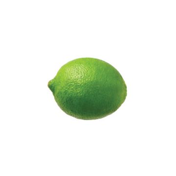 Lime - 1 count