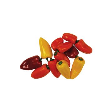 Image of Organic Mini Sweet Peppers