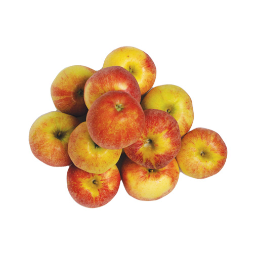 organically-grown-co-gala-apples