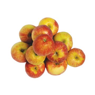 Local Organic Gala Apples – 3 lbs
