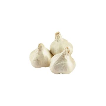 Organic Garlic - 3 ct