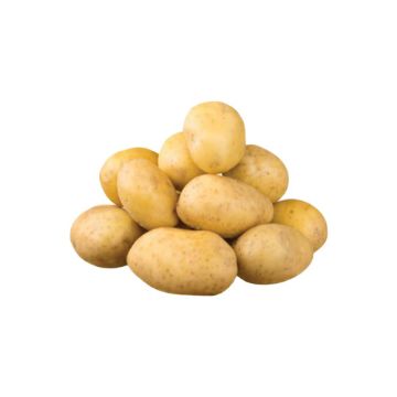 Yellow Potatoes - 5 lbs