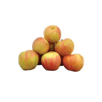 Organic Honeycrisp Apples -2 lbs