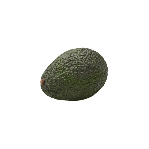 organic-avocado-1-ct