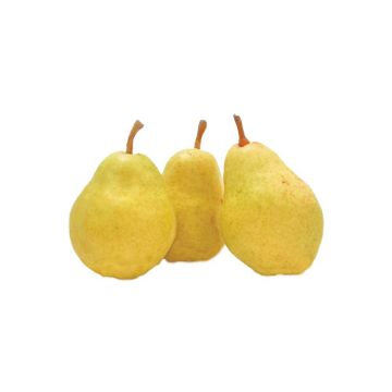 Organic Bartlett Pears - 2lbs