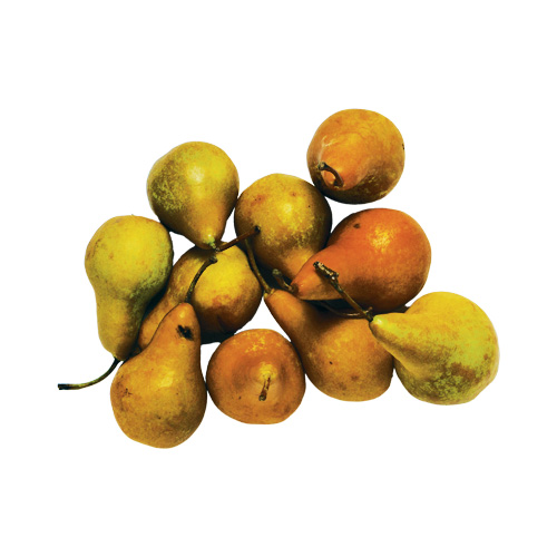 organically-grown-company-bosc-pears