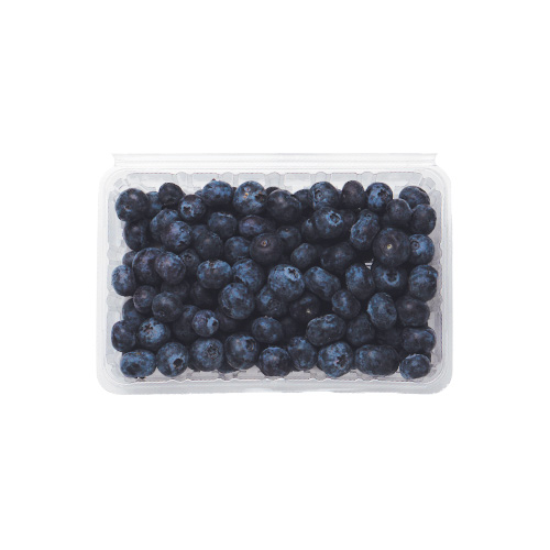 organic-blueberries