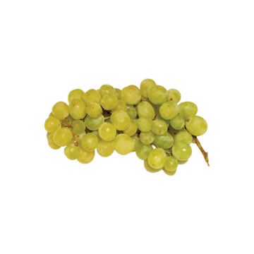 Cotton Candy Grapes - 1.5 lbs
