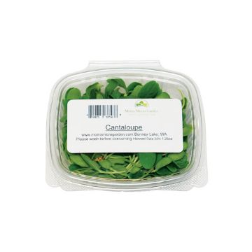 Moms Microgreens Cantaloupe - 1.25 oz 
