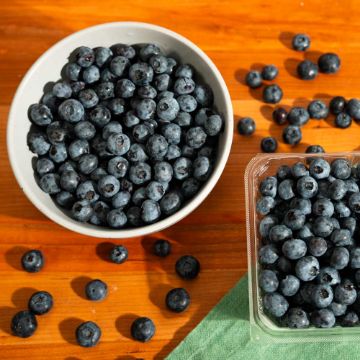 Local Organic Blueberries - 1 pint