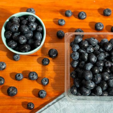 Blueberries - 6 oz