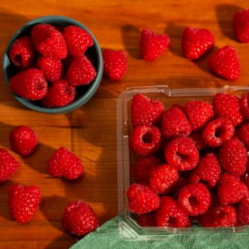 Organic Raspberries - 6 oz