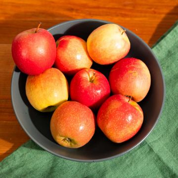 Organic Pink Lady Apples - 2 lbs