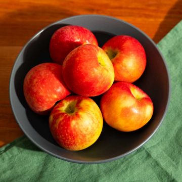 Organic Honeycrisp Apples - 2 lbs