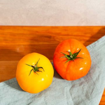 Heirloom Tomatoes - 2 count