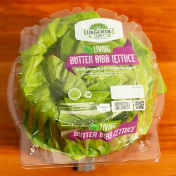 DeGoede Living Butter Bibb Lettuce - 1 count