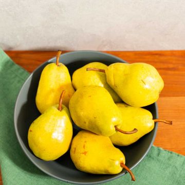 Organic Bartlett Pears - 2 lbs