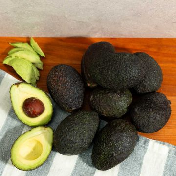 Avocados - 2 lbs