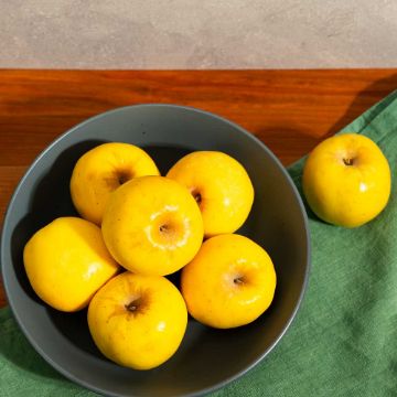 Organic Opal Apples - 2 lbs