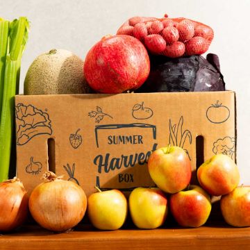 Alpenrose Local Harvest Produce Box