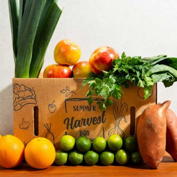 Seasonal Harvest Produce Box