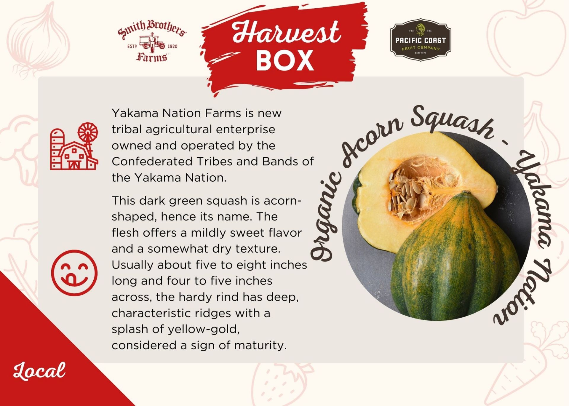 Yakama Nation Farms Organic Acorn Squash