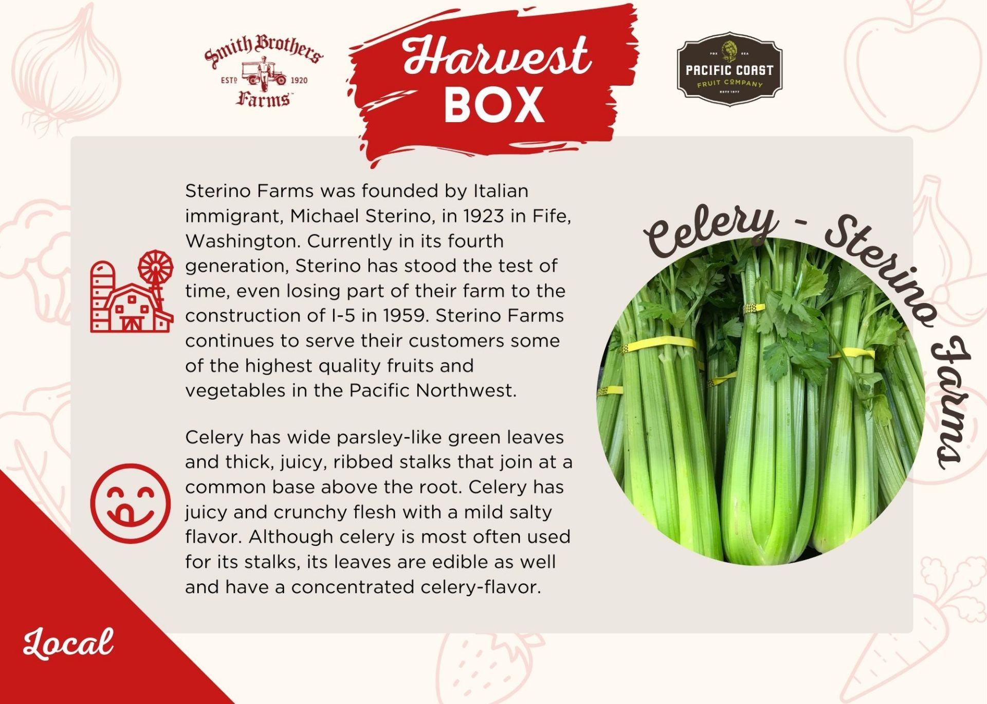 Sterino Farms Celery