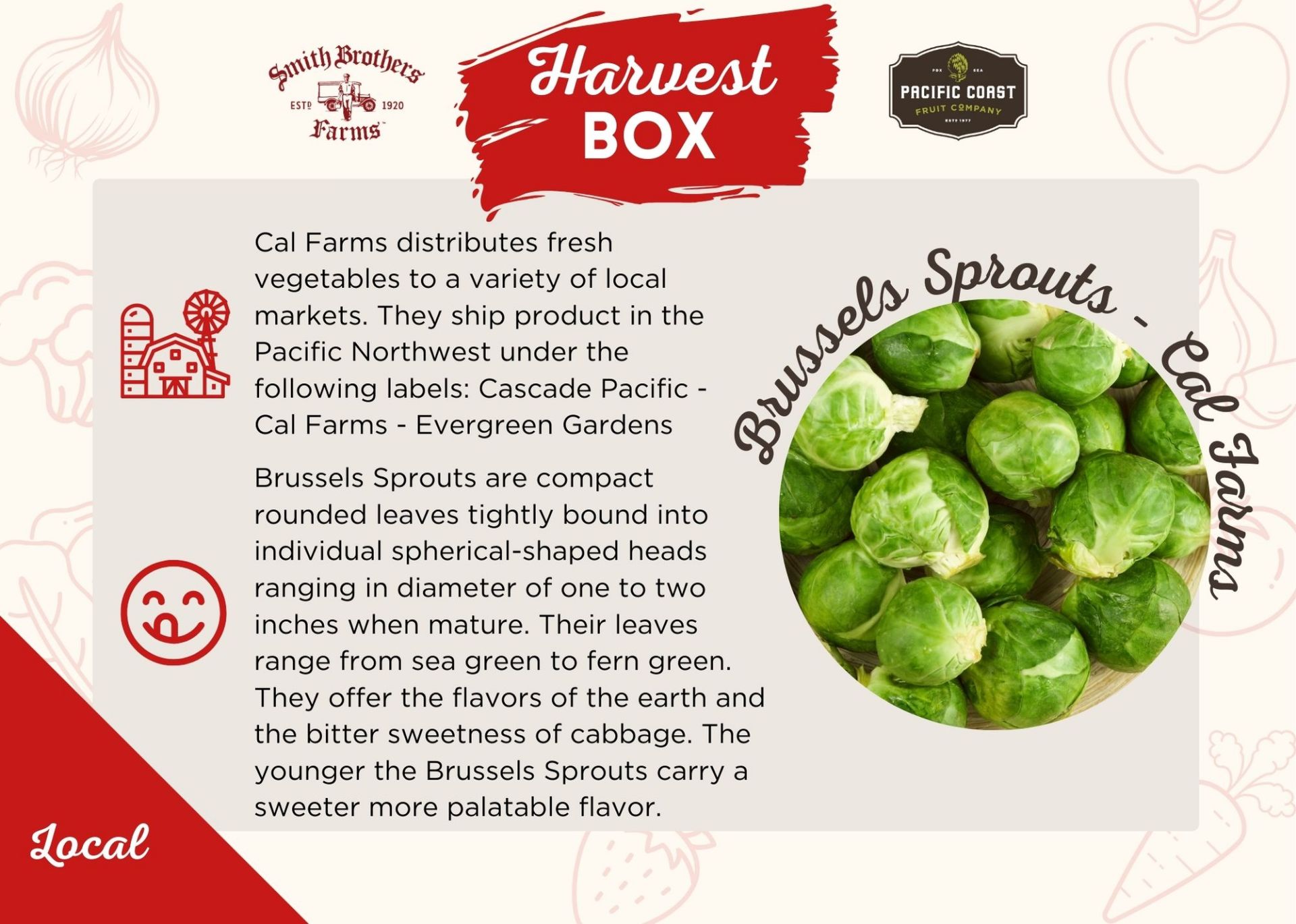 Brussels Sprouts Infographic